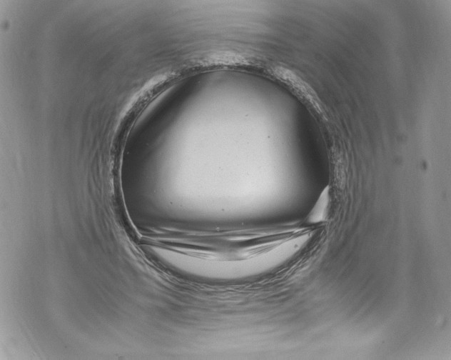 X0000071860395200607290202