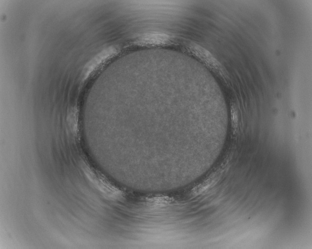 X0000071860396200607290202