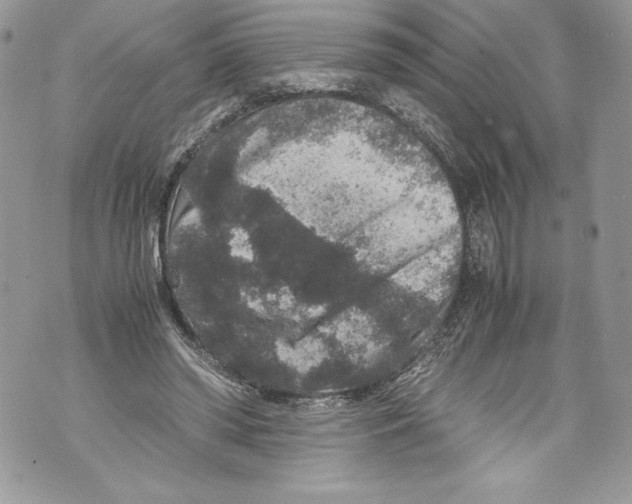 X0000071860398200607290202