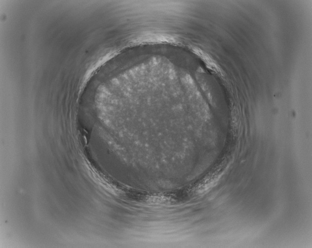 X0000071860399200607290202