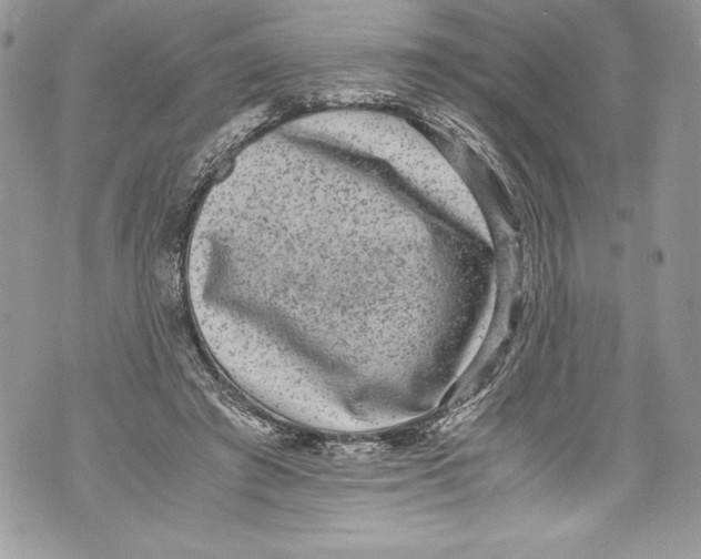 X0000071860401200607290202