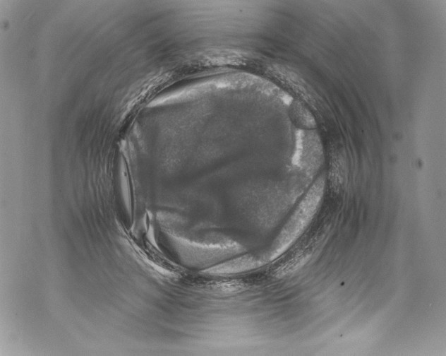 X0000071860402200607290202