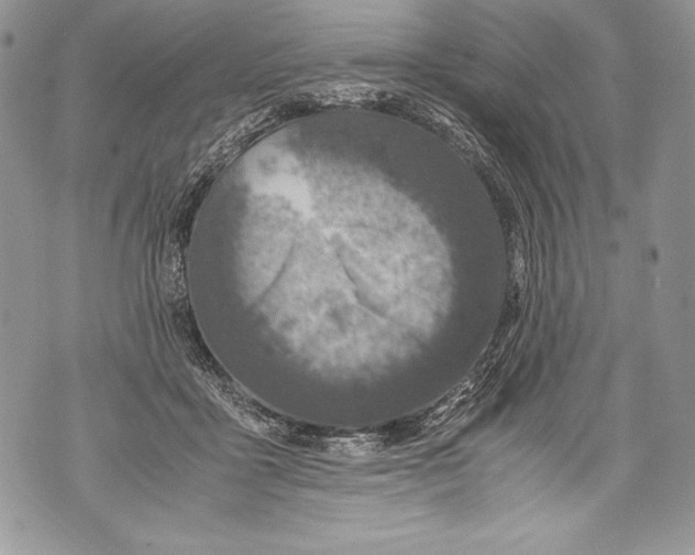 X0000071860411200607290202