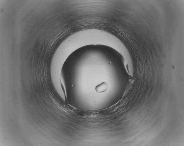 X0000071860412200607290202