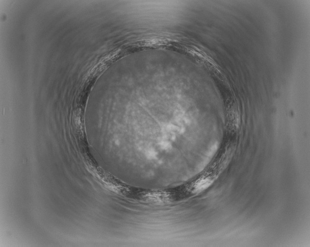 X0000071860415200607290202