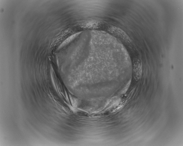 X0000071860416200607290202