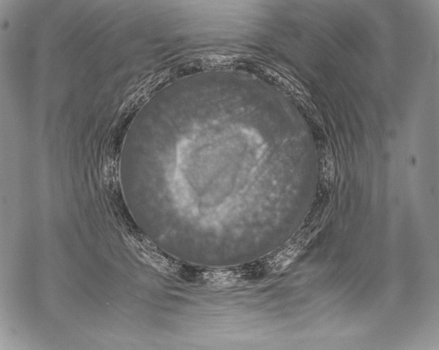 X0000071860419200607290202