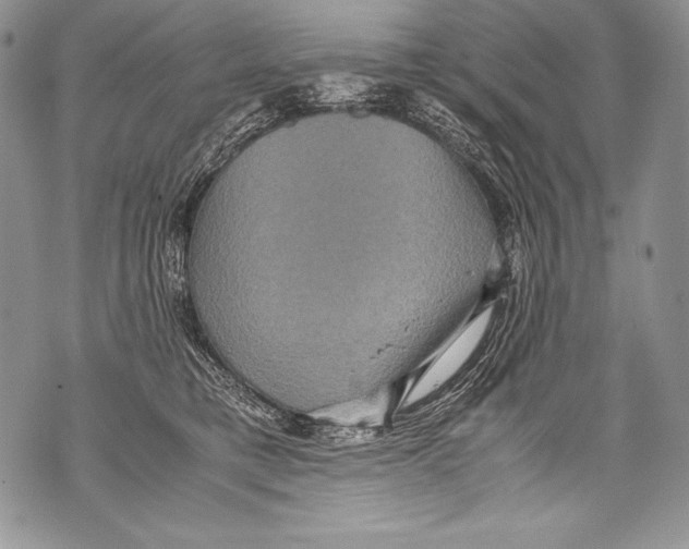 X0000071860421200607290202