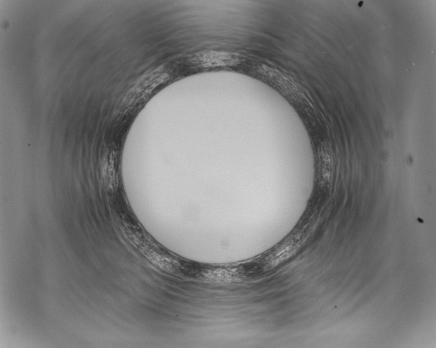 X0000071860422200607290202