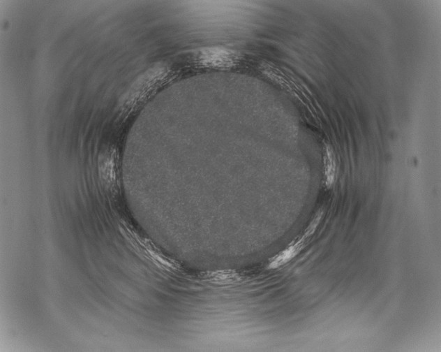 X0000071860424200607290202