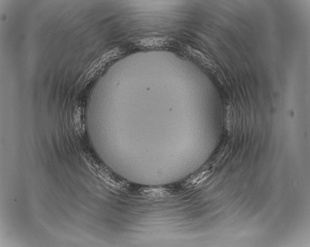 X0000071860428200607290202