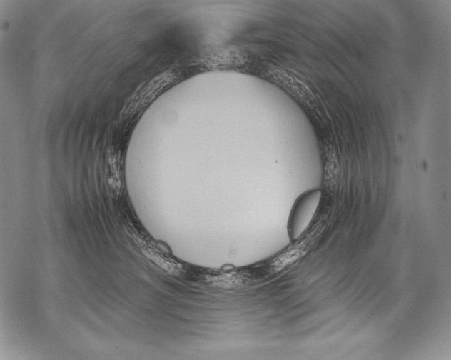 X0000071860430200607290202