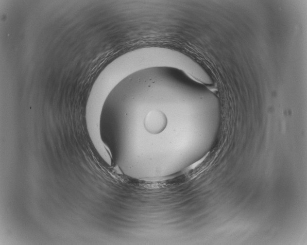 X0000071860432200607290202