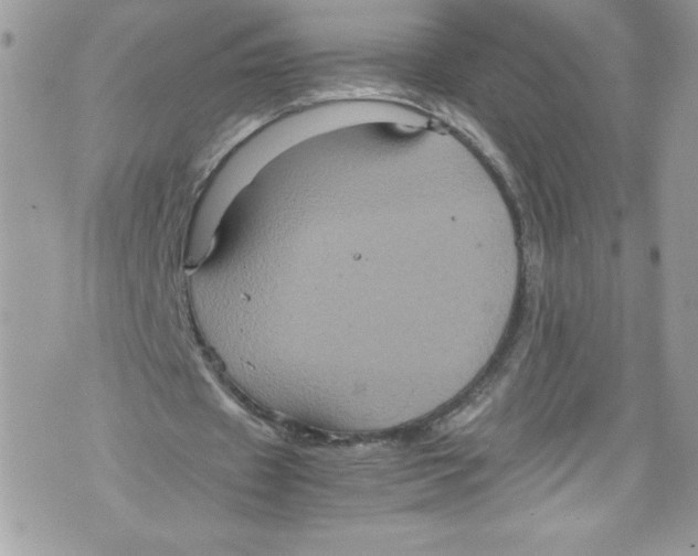 X0000071860433200607290201