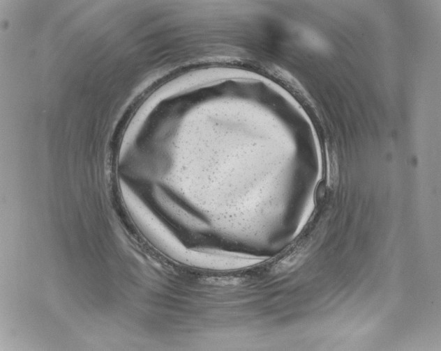 X0000071860435200607290201