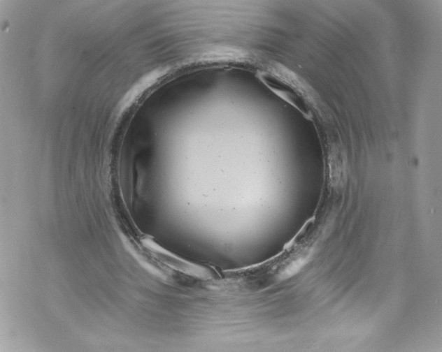 X0000071860436200607290201