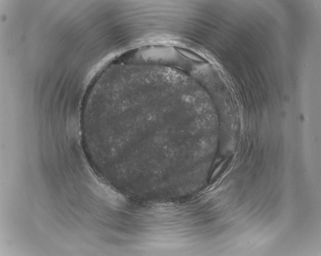 X0000071860438200607290201