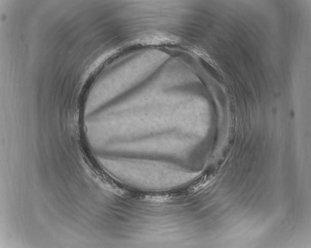 X0000071860440200607290201