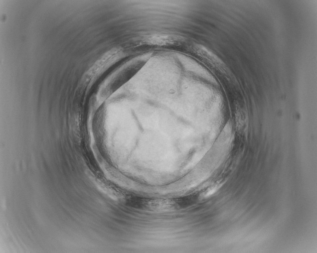 X0000071860444200607290201