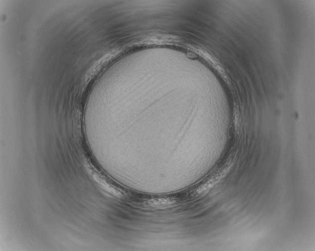 X0000071860445200607290201