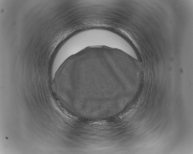 X0000071860447200607290201