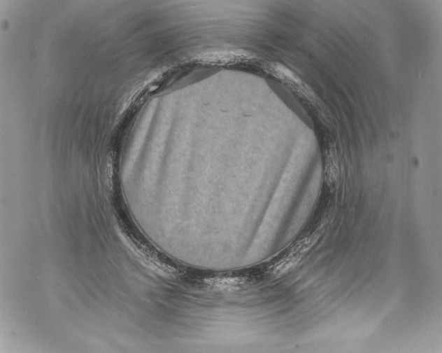 X0000071860448200607290201