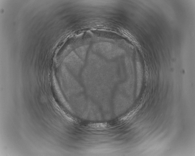 X0000071860449200607290201