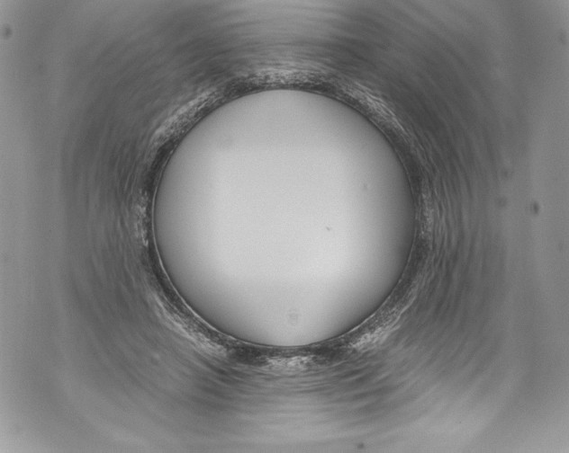 X0000071860450200607290201