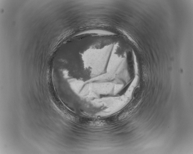 X0000071860451200607290201