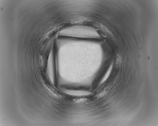 X0000071860452200607290201