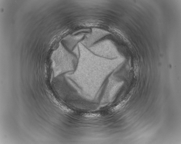 X0000071860453200607290201