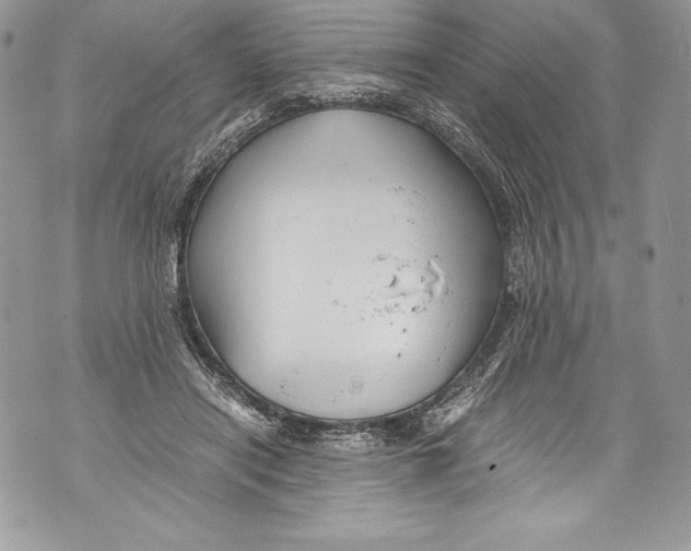 X0000071860454200607290201