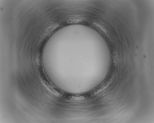 X0000071860455200607290201