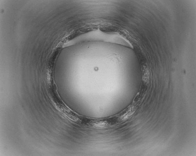 X0000071860456200607290201