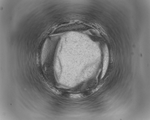 X0000071860457200607290201