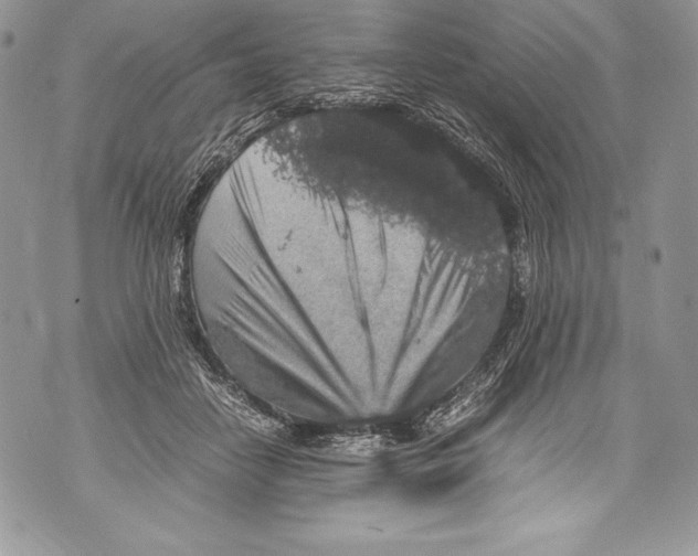 X0000071860458200607290201