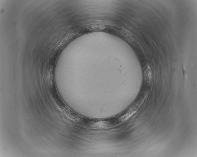 X0000071860460200607290201