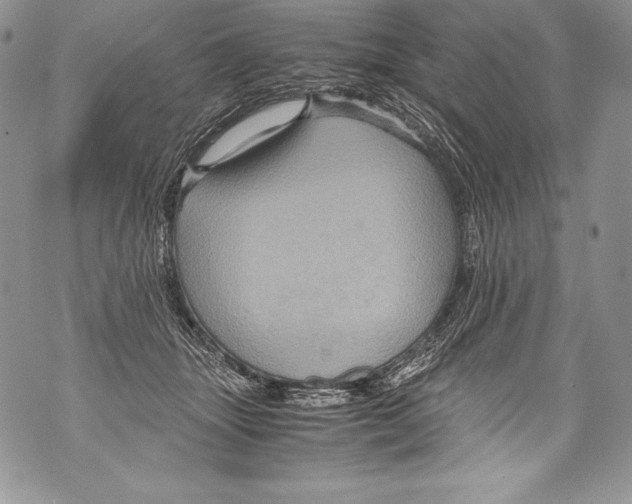 X0000071860463200607290201