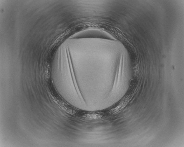 X0000071860464200607290201