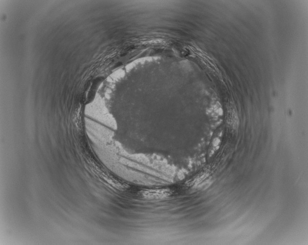 X0000071860465200607290201