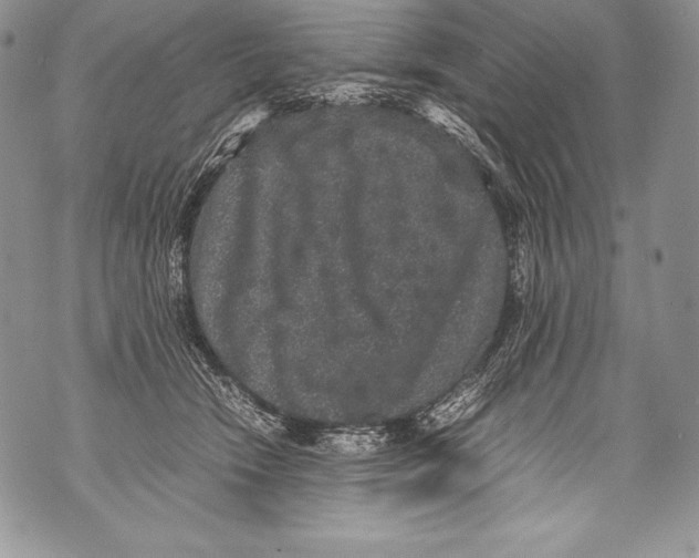 X0000071860466200607290201