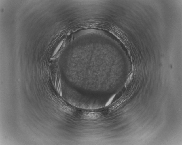 X0000071860467200607290201