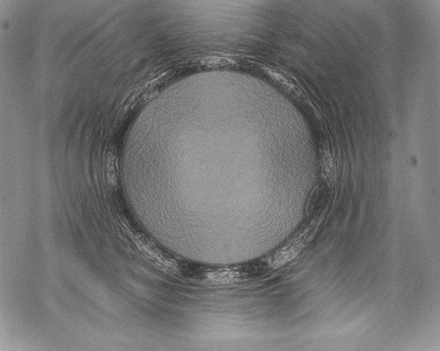 X0000071860470200607290202