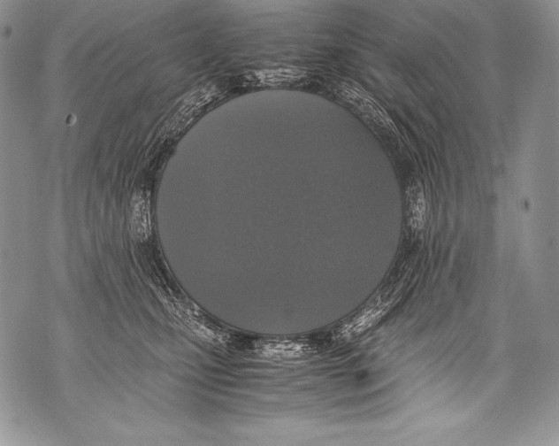 X0000071860471200607290202