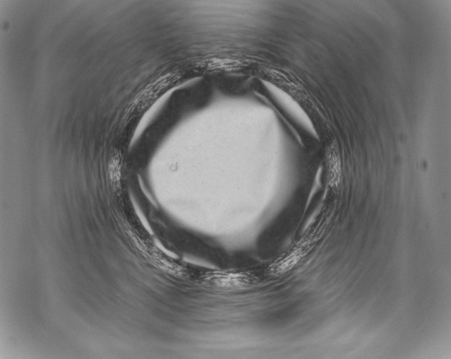 X0000071860472200607290202