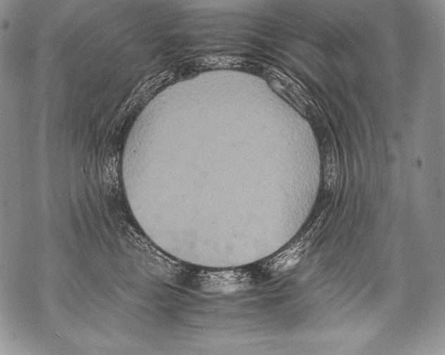 X0000071860473200607290202