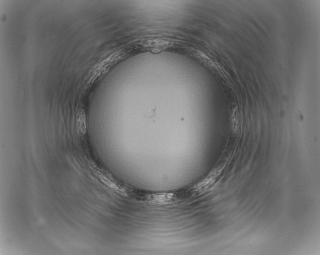 X0000071860474200607290202