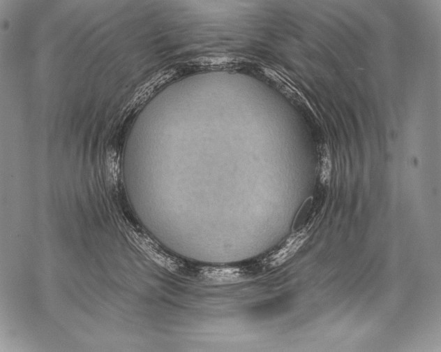 X0000071860476200607290202