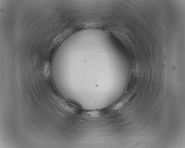 X0000071860478200607290202