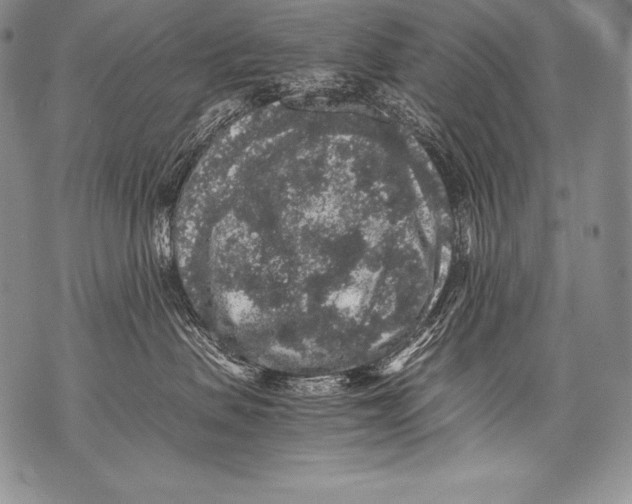 X0000071860479200607290202